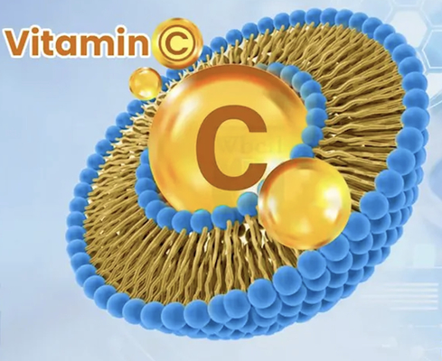 Vitamina C liposomal con mayor biodisponibilidad para bebidas sólidas en polvo y en gota líquida